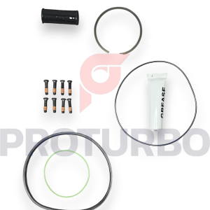 KIT DE REPARACIÓN MENOR DE FAN CLUTCH DRIVE MASTER ADVANTAGE  HORTON